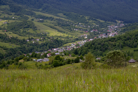 a view of a small village in the mountains